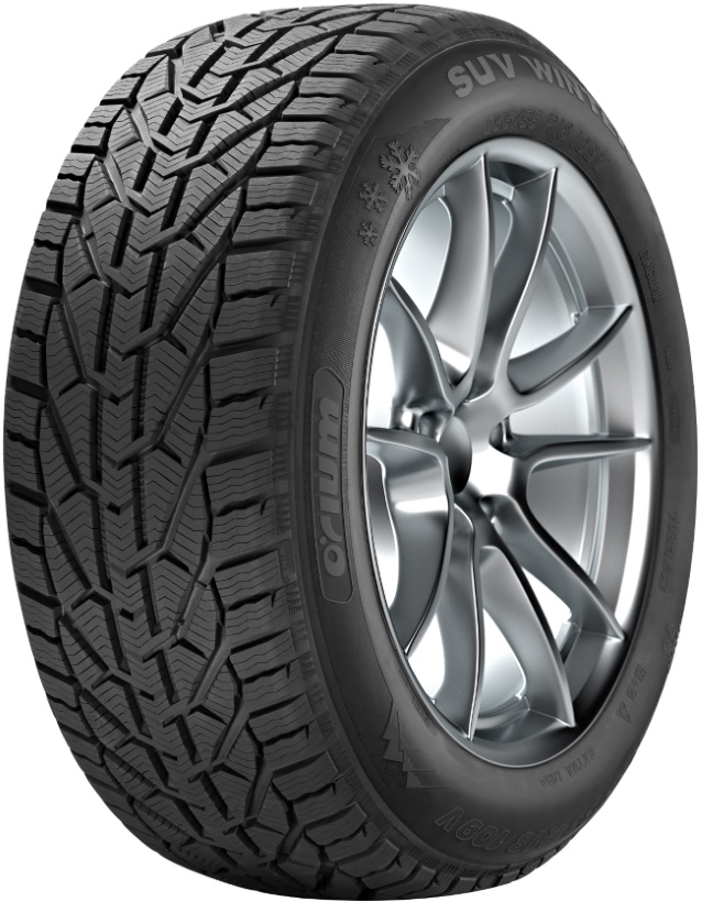 Автошини 245/40R18 97V XL WINTER ORIUM